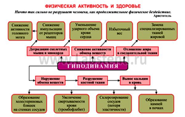 гиподинамия памятка.jpg